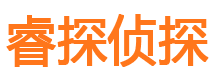 山城私家侦探